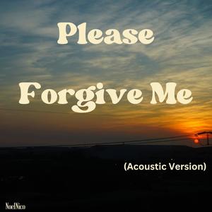 Please Forgive Me (Acoustic Version)