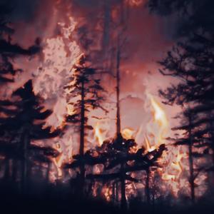 SAY YOU THE ONE (feat. Mekai)