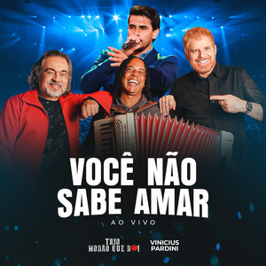 Você Não Sabe Amar (Ao Vivo)