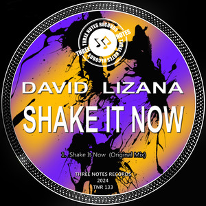 Shake It Now (Original Mix)