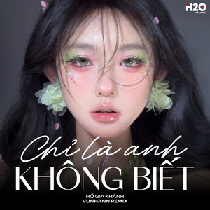 Chỉ Là Anh Không Biết (Remix)