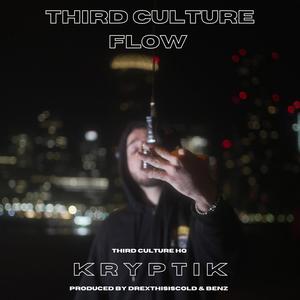 THIRD CULTURE FLOW (Explicit)