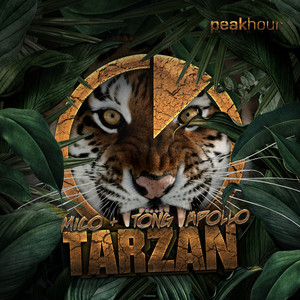 Tarzan (Original Mix)
