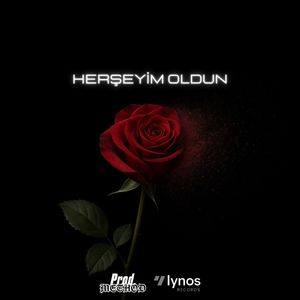 Herşeyim Oldun