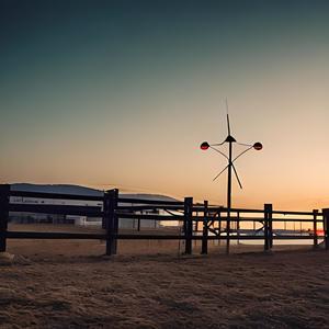 Night Drive (Explicit)