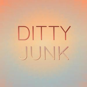 Ditty Junk