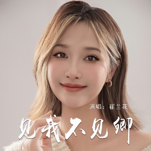 见我不见卿