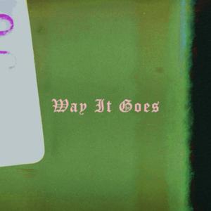 Way It Goes (Remixes) [Explicit]