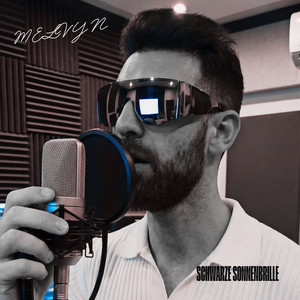 Schwarze Sonnenbrille