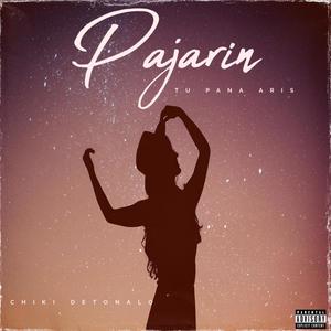 Pajarin (feat. Tu Pana Aris)