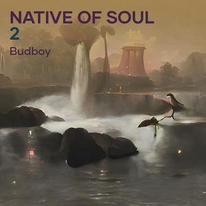 Native of soul 2