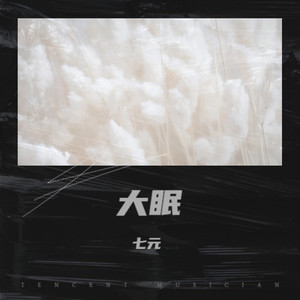 大眠 (七元版) - 七元封面