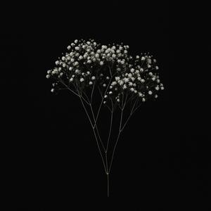 SIKTIR GIT (Explicit)