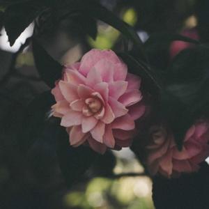 Oversea (feat. Lusah)