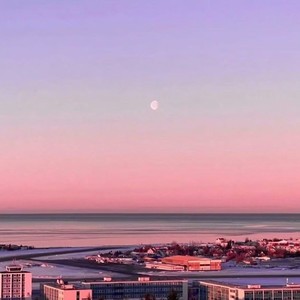 哥爱你（年度总结之我的红毯时刻）-枯枝