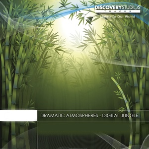 Dramatic Atmospheres: Digital Jungle