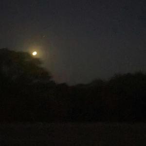 Valley Of Lies (feat. Ace of Paradise) (Explicit)