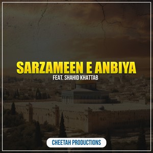 Sarzameen E Anbiya