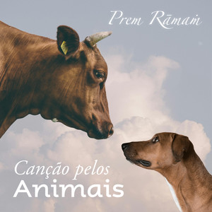 Vozes Pelos Animais