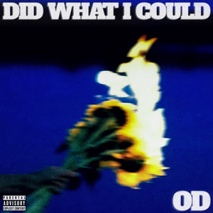 DID WHAT I COULD (Explicit)