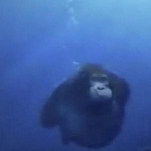 September Samples 23' (Explicit)