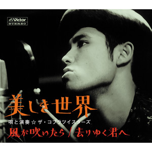 美しき世界（シングルバージョン） (Utsukushiki Sekai(Single Version))