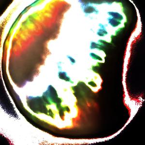 je te dis au revoir (feat. loose transmission)