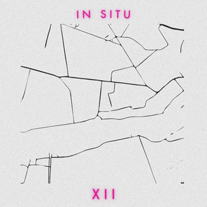 In Situ: XII