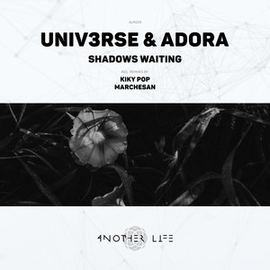 Shadows Waiting