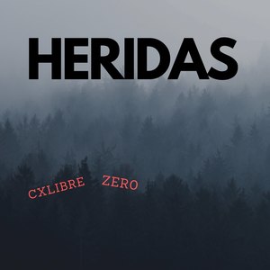 Heridas