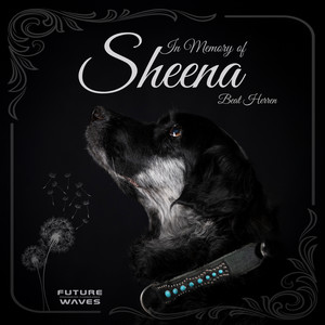 In Memory of Sheena