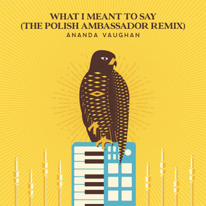 What I Meant To Say (The Polish Ambassador Remix)