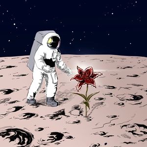 over the moon