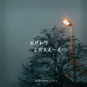 好想和你在街头走一走 (0.8降速版)