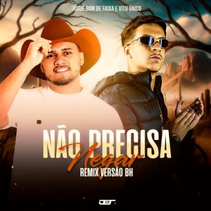 Nao Precisa Negar (Versao Bh) (Explicit)