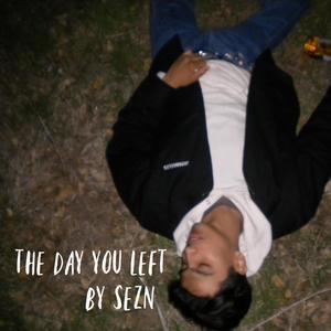 the day you left