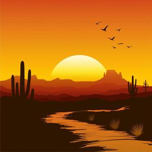 Transcendent Function