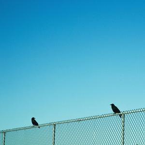 In The Night (Explicit)