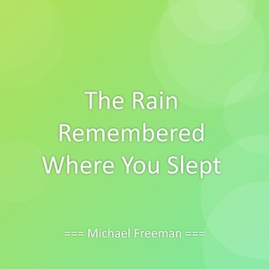 The Rain Remembered Where You Slept