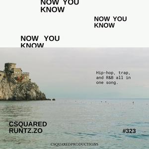 Now You Know(feat. Runtz.Zo) (Explicit)
