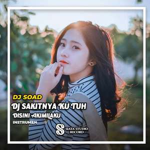 DJ Sakitnya Ku Tuh Disini Akimilaku (INS)