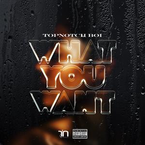 What You Want (Explicit)