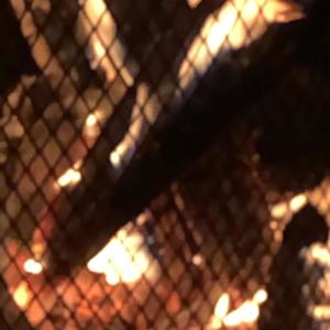 DREAM(feat. prodbyIOF) (Explicit)