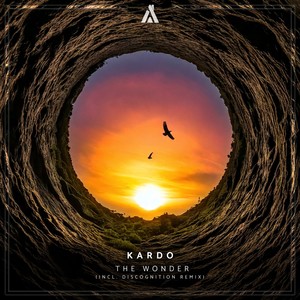 The Wonder (Discognition Extended Remix)