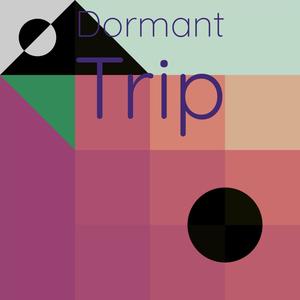 Dormant Trip