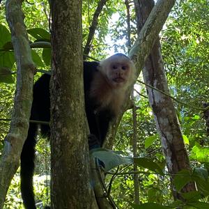 Pass Tha Blunt Bak (Explicit)