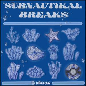 SUBNAUTIKAL BREAKS