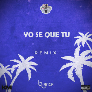 Yo Se Que Tu (Remix)