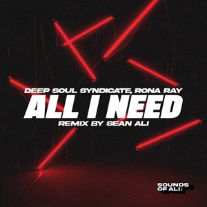 All I Need (Sean Ali Instrumental Mix)