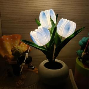 Tulipán De Luz (Explicit)